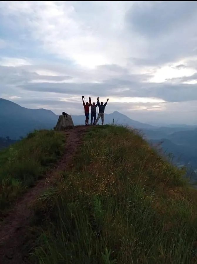 Munnar Lush Greens India