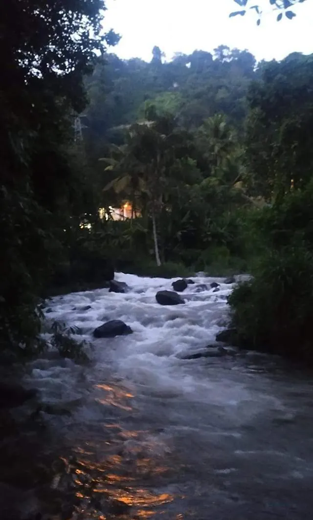 Munnar Lush Greens 0*,  Indien